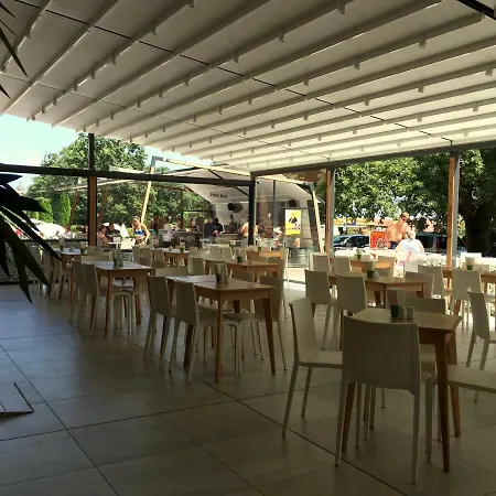 Gladiola 1 Ex Akacia غولدن ساندز