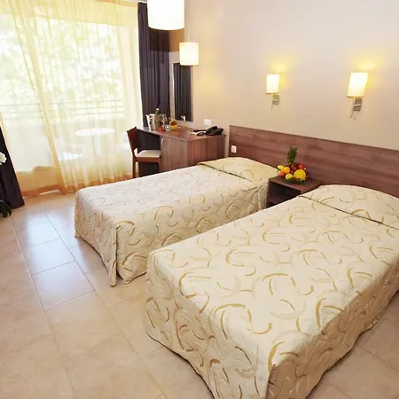 Gladiola 1 Ex Akacia