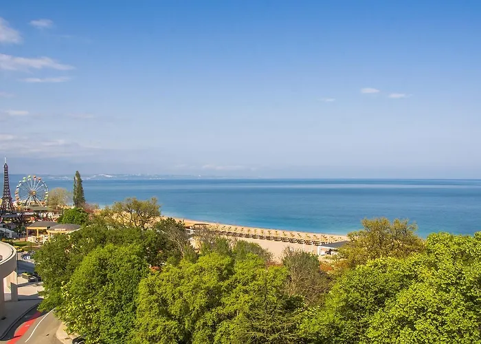 Gladiola 1 Ex Akacia